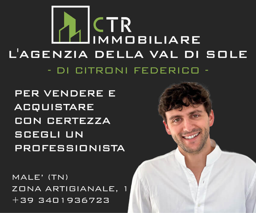 Banner Citroni