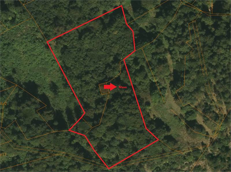 Planimetria terreni di proprietà