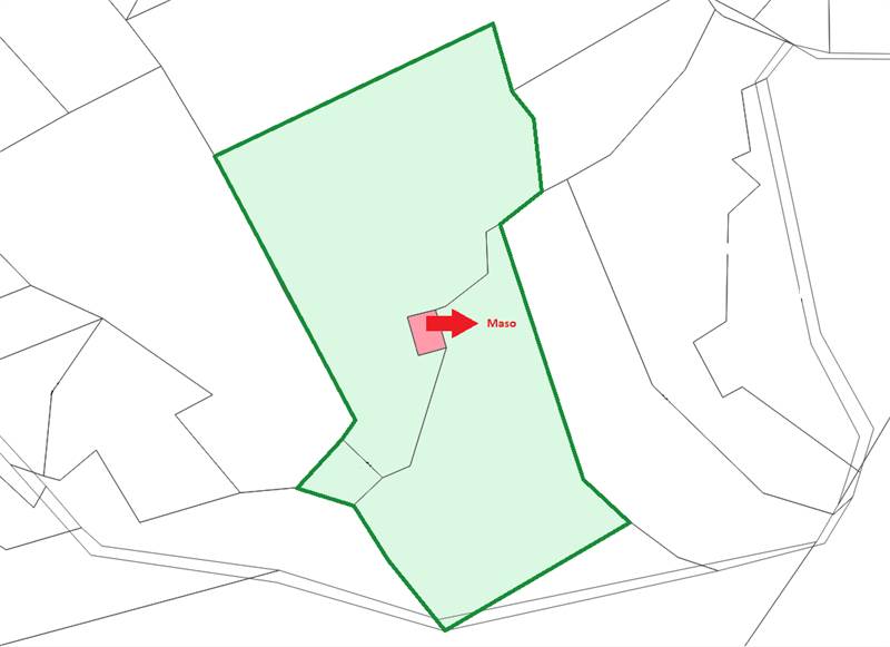 Terreni di proprietà