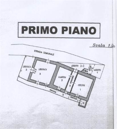 Planimetria primo piano