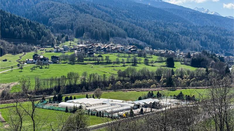 Azienda agricola in vendita, investimento sicuro