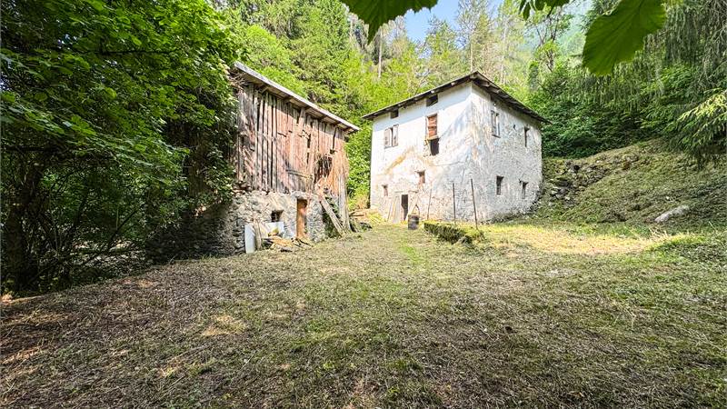 Due rustici immersi nel verde a Dimaro